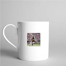 Florida State Seminoles Limited Collection Florida State Seminoles Mugs
