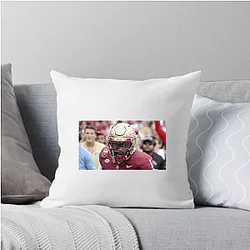 Florida State Seminoles Fan Art Florida State Seminoles Pillows Cover