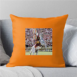 Florida State Seminoles Limited Collection Florida State Seminoles Pillows Cover
