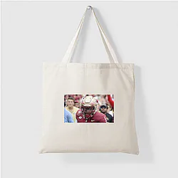 Florida State Seminoles Fan Art Florida State Seminoles Bags