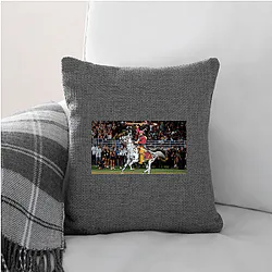 Florida State Seminoles Signature Florida State Seminoles Pillows Cover