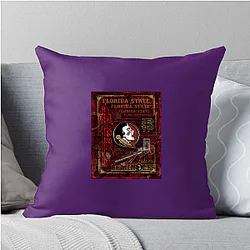 Florida State Seminoles Merch Florida State Seminoles Pillows Cover