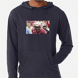 Florida State Seminoles Fan Art Florida State Seminoles Hoodies