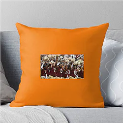 Florida State Seminoles Collection for fans Florida State Seminoles Pillows Cover