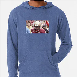 Florida State Seminoles Fan Art Florida State Seminoles Hoodies