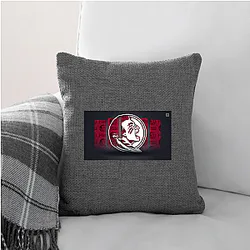 Florida State Seminoles Merchandise Florida State Seminoles Pillows Cover