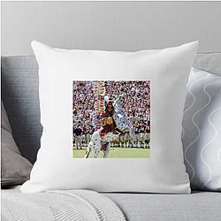 Florida State Seminoles Limited Collection Florida State Seminoles Pillows Cover