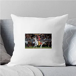 Florida State Seminoles Signature Florida State Seminoles Pillows Cover