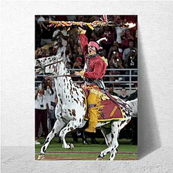Florida State Seminoles Signature Florida State Seminoles Posters