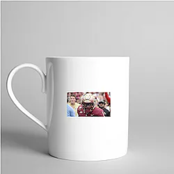 Florida State Seminoles Fan Art Florida State Seminoles Mugs
