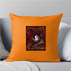 Florida State Seminoles Merch Florida State Seminoles Pillows Cover