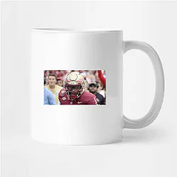 Florida State Seminoles Fan Art Florida State Seminoles Mugs