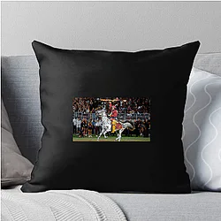 Florida State Seminoles Signature Florida State Seminoles Pillows Cover