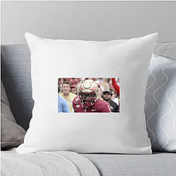Florida State Seminoles Fan Art Florida State Seminoles Pillows Cover