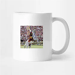 Florida State Seminoles Limited Collection Florida State Seminoles Mugs