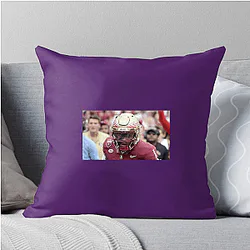 Florida State Seminoles Fan Art Florida State Seminoles Pillows Cover