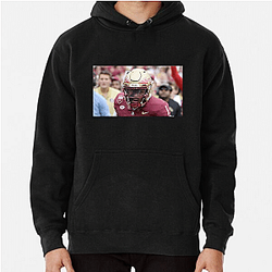 Florida State Seminoles Fan Art Florida State Seminoles Hoodies