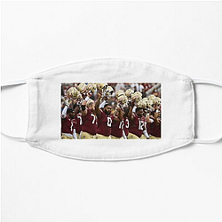 Florida State Seminoles Collection for fans Florida State Seminoles Face Masks