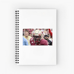 Florida State Seminoles Fan Art Florida State Seminoles Notebook