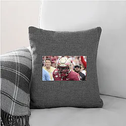 Florida State Seminoles Fan Art Florida State Seminoles Pillows Cover