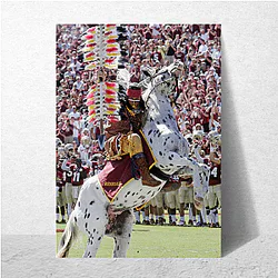 Florida State Seminoles Limited Collection Florida State Seminoles Posters