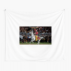 Florida State Seminoles Signature Florida State Seminoles Tapestries