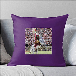 Florida State Seminoles Limited Collection Florida State Seminoles Pillows Cover
