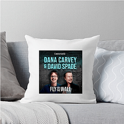 Fly on the Wall is podcast Fly On The Wall Pillows Cover