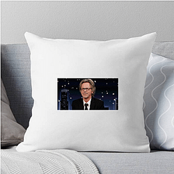 Fly on the Wall features raw comedy Fly On The Wall Pillows Cover