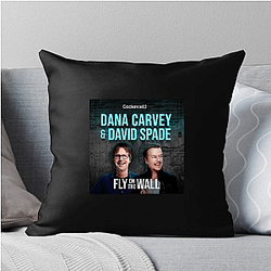 Fly on the Wall is podcast Fly On The Wall Pillows Cover