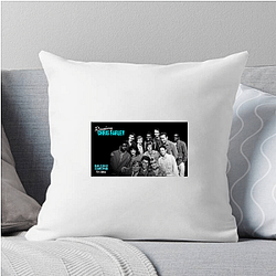 Fly on the Wall fun casual talk Fly On The Wall Pillows Cover