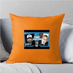 Fly on the Wall interviews celebrities Fly On The Wall Pillows Cover
