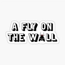 A Fly On The Wall, Filmmaker Technique