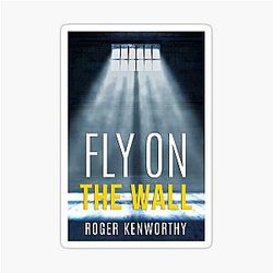 FLY ON THE WALL DAYS OF SOLITUDE Sticker