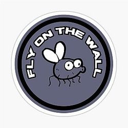 Fly on the Wall Sticker