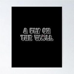 A Fly on the Wall Film Filmmaker Technique Poster