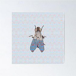 A Fly on the Wall.