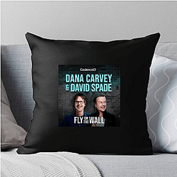 Fly On The Wall Merch For Fans Fly On The Wall Pillows Cover