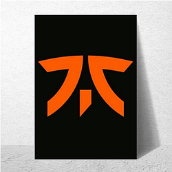 Fnatic has a storied CS history Fnatic Posters
