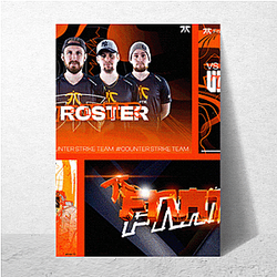 Fnatic was founded in 2004 Fnatic Posters