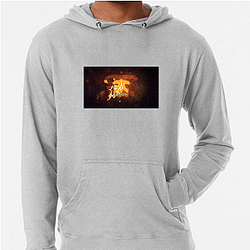 Fnatic competes in League of Legends Fnatic Hoodies