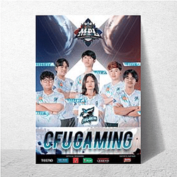 Fnatic has won over 200 championships Fnatic Posters