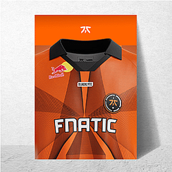Fnatic fields a Valorant team Fnatic Posters