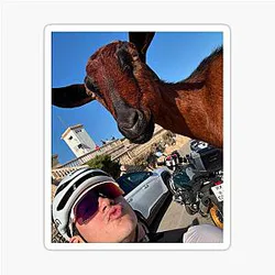 Franco Colapinto Goat Sticker