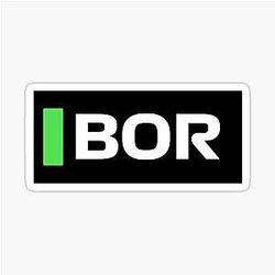 Gabriel Bortoleto Sauber F1 Driver Grid Name Tag Sticker