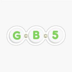 Gabriel Bortoleto Friendship Bracelet Sticker