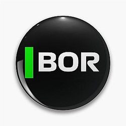 Gabriel Bortoleto kicks Sauber Pin