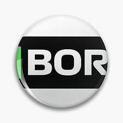 Gabriel Bortoleto Sauber F1 Driver Grid Name Tag Pin