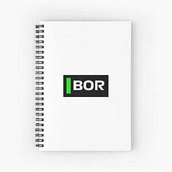 Gabriel Bortoleto Kick Sauber Notebook
