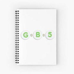 Gabriel Bortoleto Friendship Bracelet Notebook